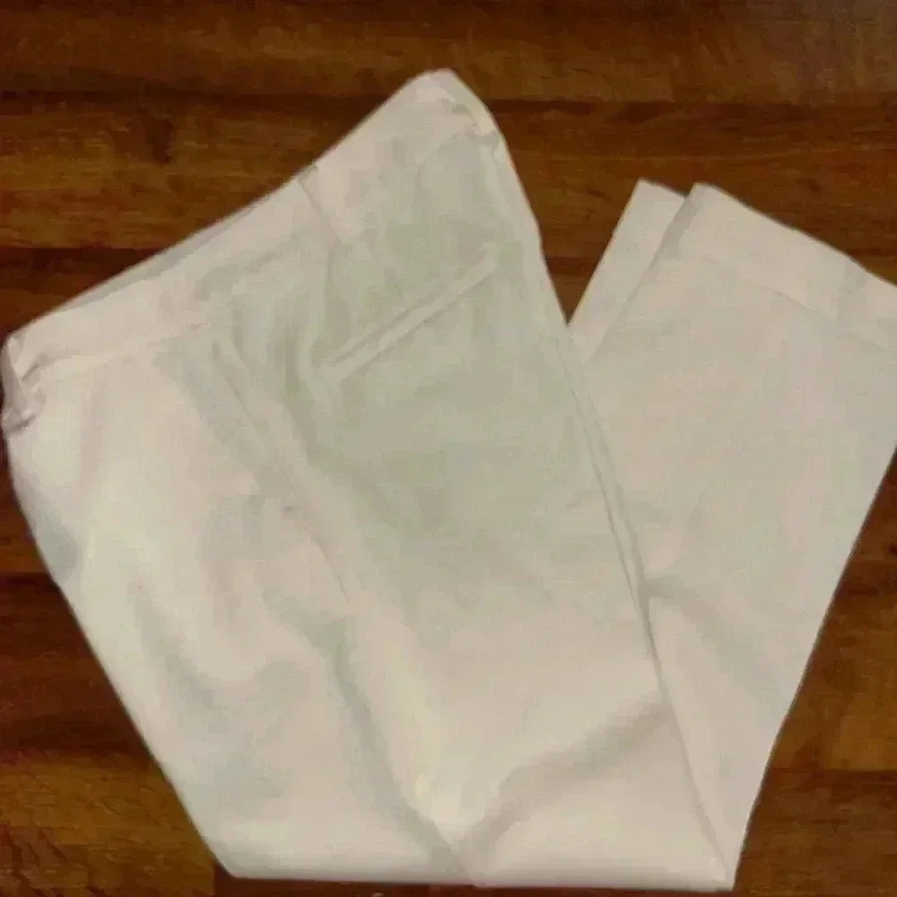 Ann Taylor Dress Pant